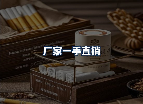专业团队办公环境